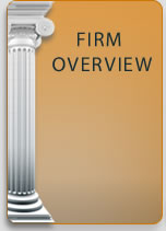 Martinovsky Law Firm Overview